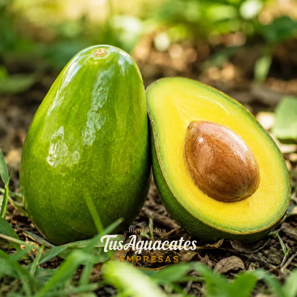Aguacate maduro abierto, listo para servir el mismo día
