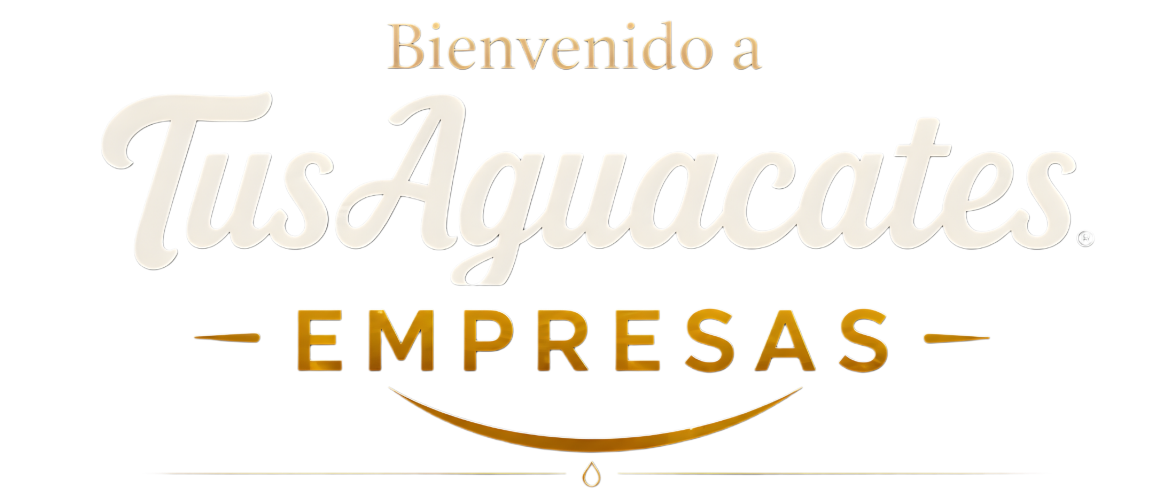 Tus Aguacates B2B