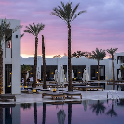 Hoteles, mayoristas y distribuidores